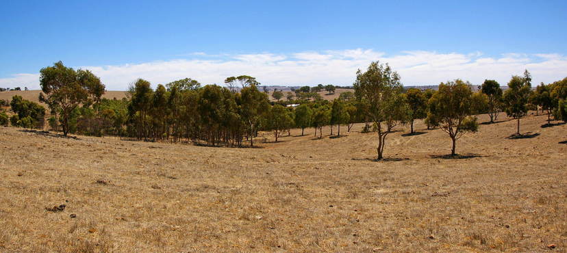 General View of the Confluence Area