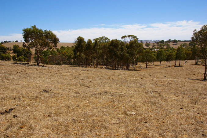 Looking North from the Confluence