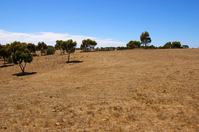 Looking East from the Confluence