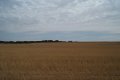 #4: Looking North