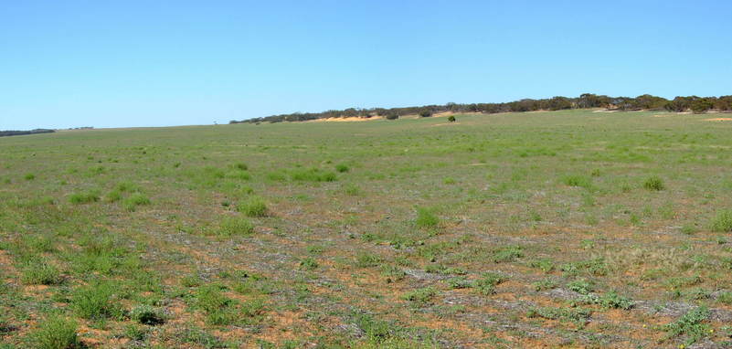 80 Metres From the Confluence