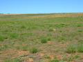 #3: Looking South from the Confluence