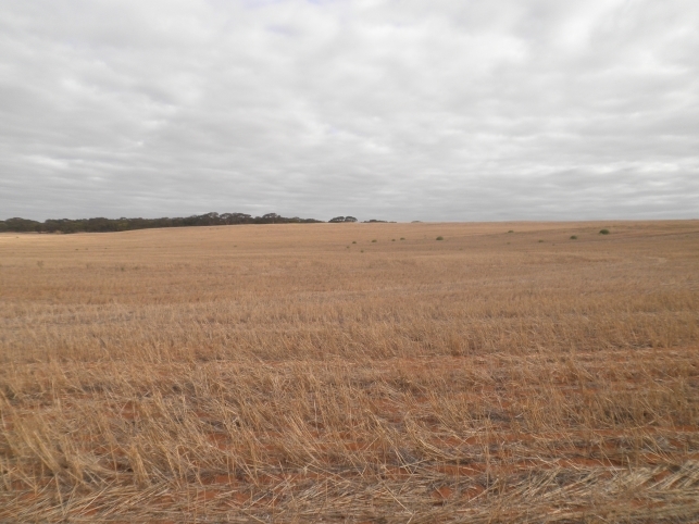 South