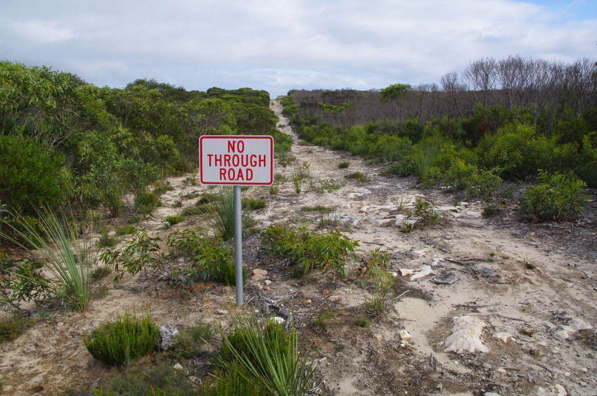 250 Metres from the Confluence and another sign