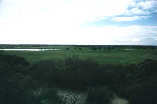 A view to the NW from the sandhill within 50m of confluence.