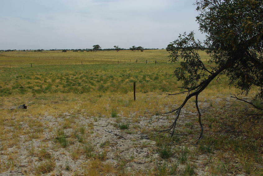 Looking North from the Confluence