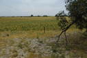 #2: Looking North from the Confluence