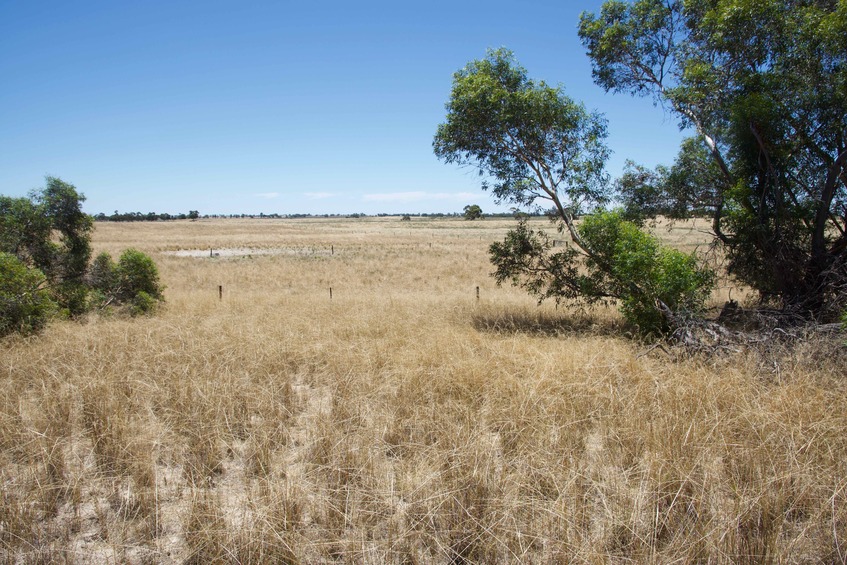 View North (towards farmland)