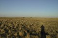 #3: East of S37 E140
