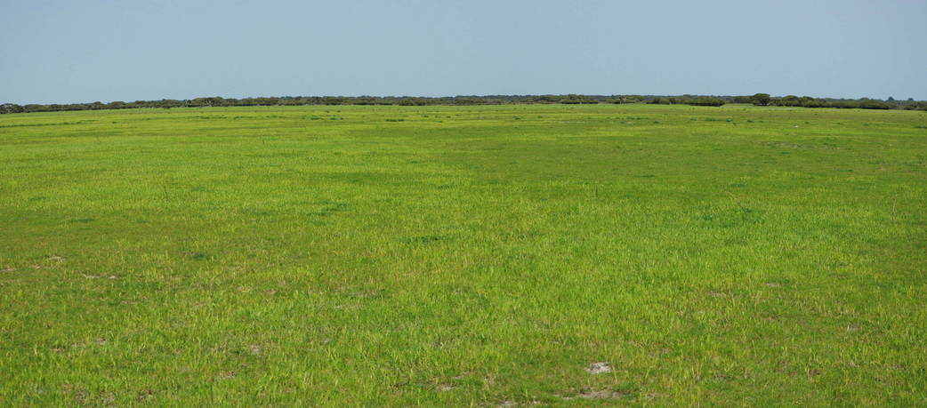 General View of Confluence Area