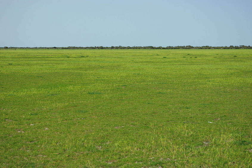 Looking South from the Confluence