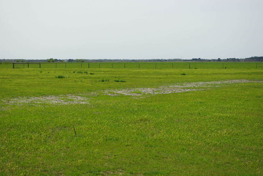 Looking East from the Confluence