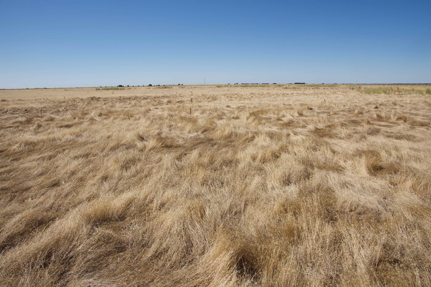 The confluence point lies in a flat, grassy field, used for grazing sheep.  (This is also a view to the North.)