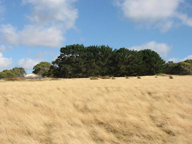 Looking South from the Confluence