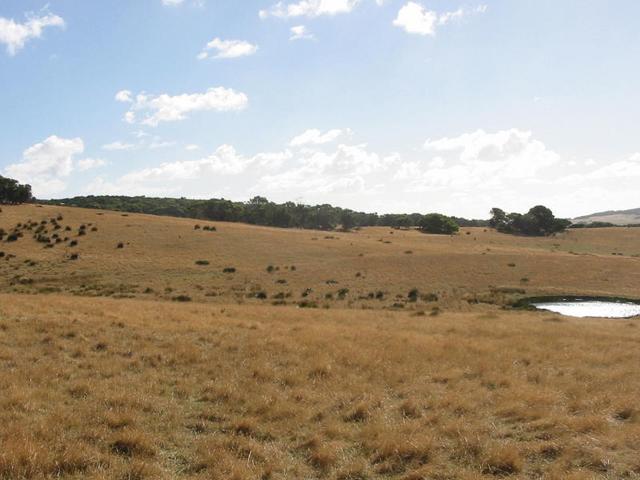 Looking West from the Confluence