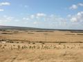 #2: Looking North from the Confluence