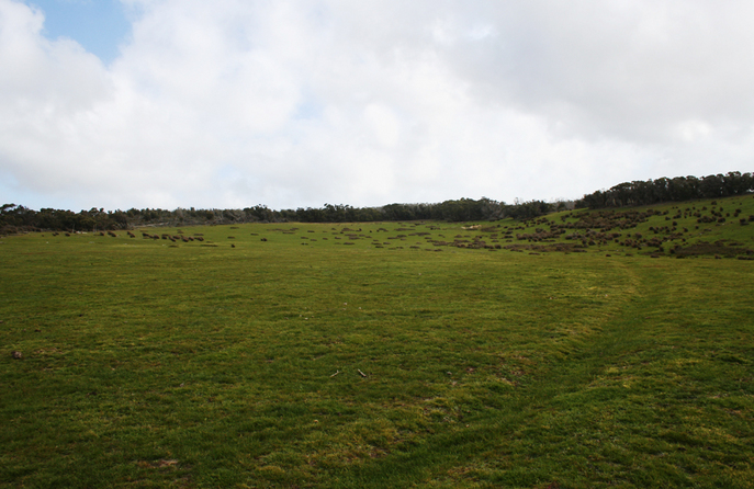 Looking West