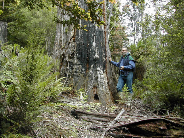 West, Dad by the pole tree