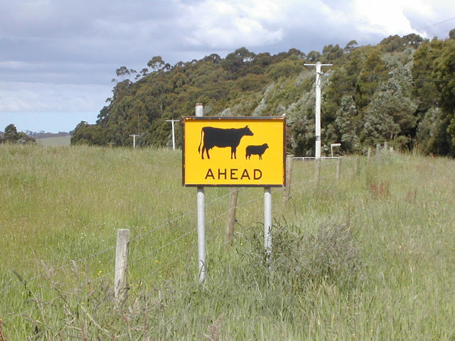 The area surrounding the ridge, a dairy farming regon