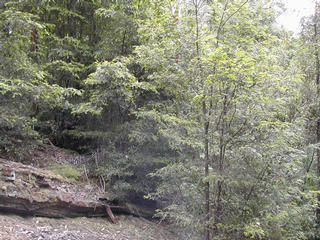 #1: The view north from the confluence point