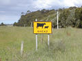 #7: The area surrounding the ridge, a dairy farming regon