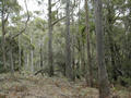 #2: South
