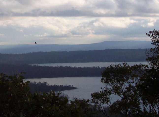 An eagle over Arthur's Lake