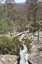 #4: View to the West with glimpses of Arthurs Lake