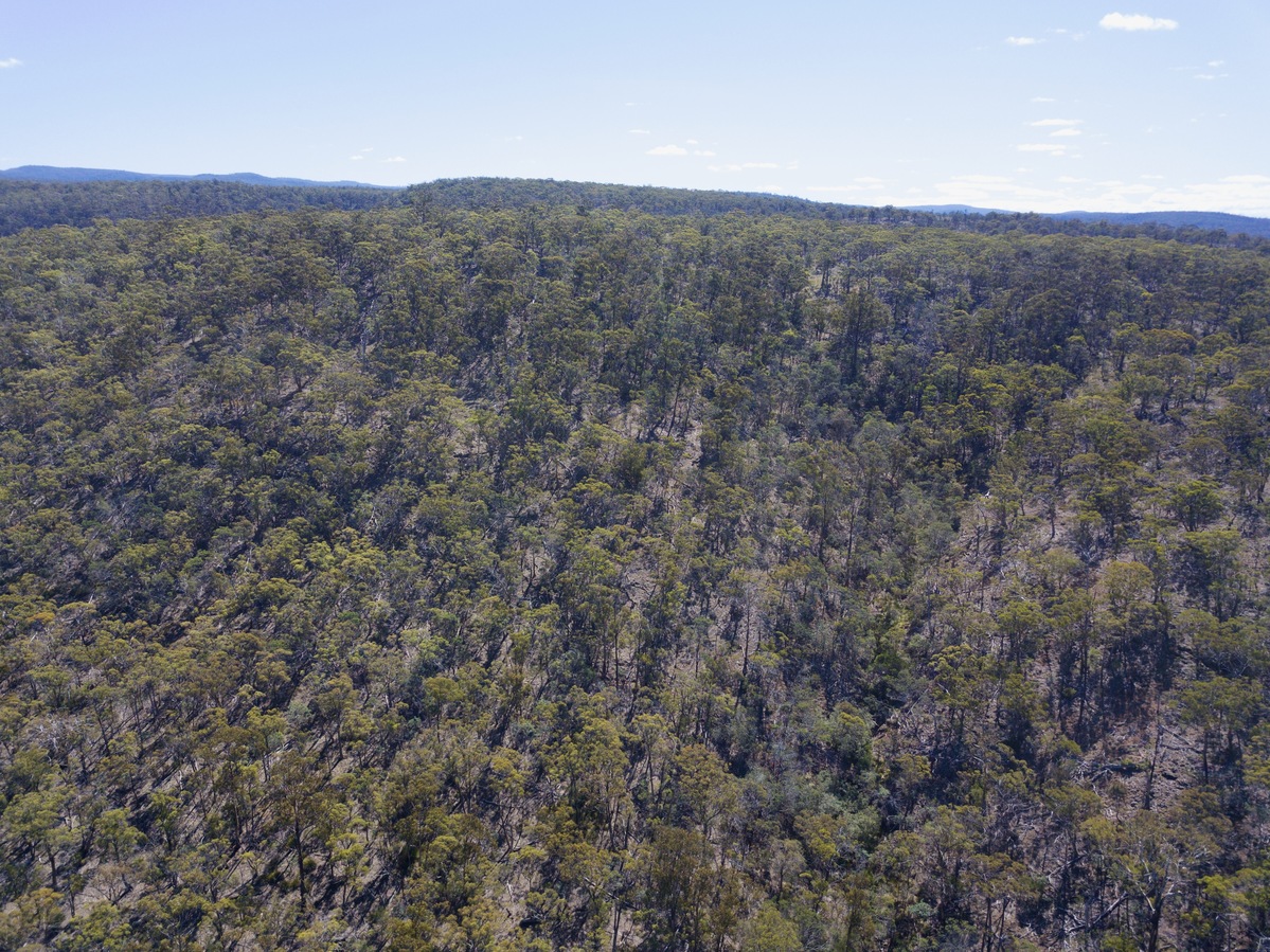 View North, from 120m above the point