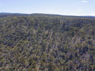 #8: View North, from 120m above the point