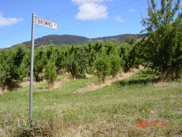 Apple orchard at the corner of highway C619 and Browns Road