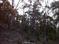 #2: View to the South