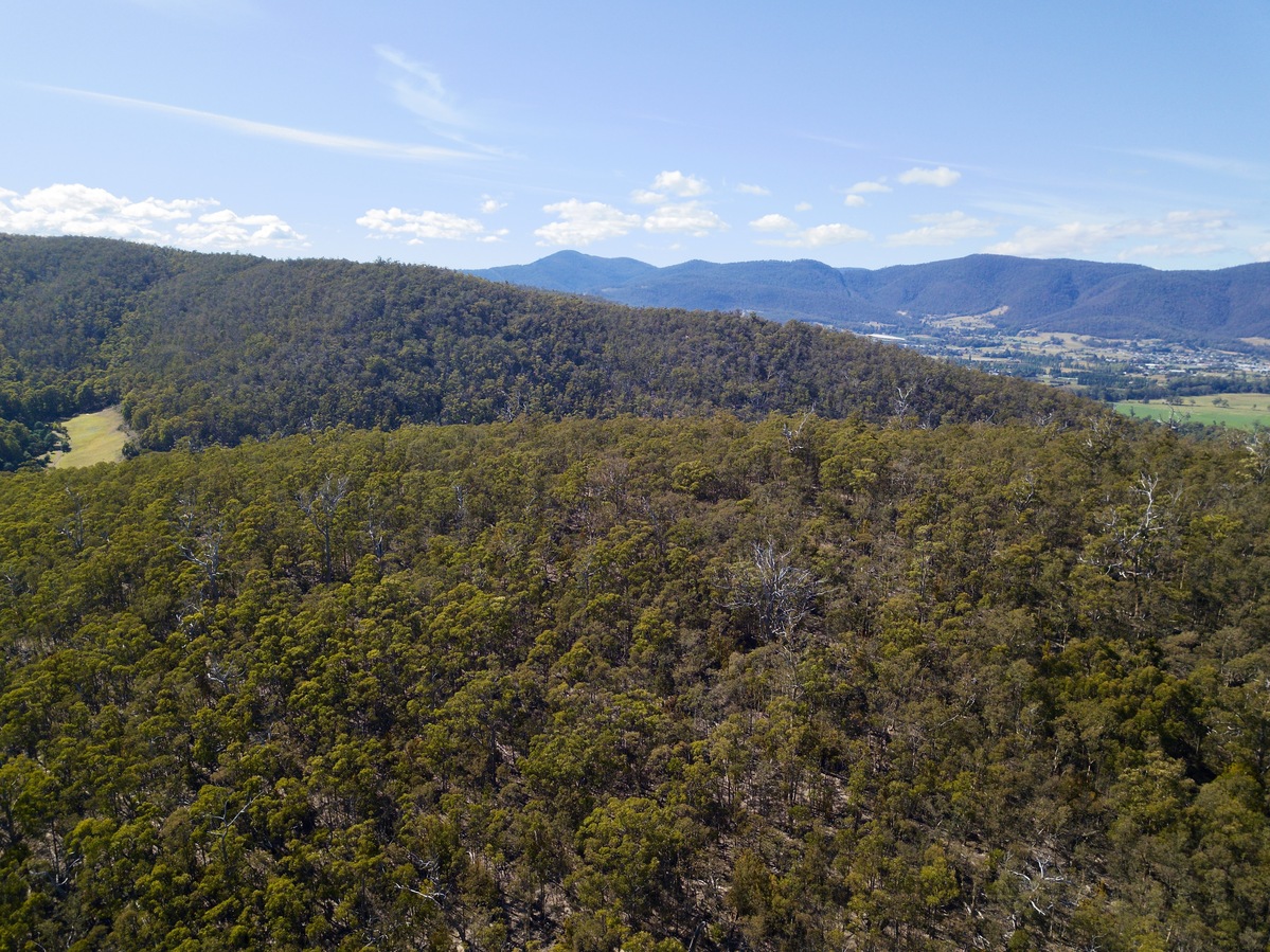 View East, from 120m above the point