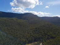 #8: View North, from 120m above the point