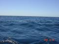 #8: Looking east