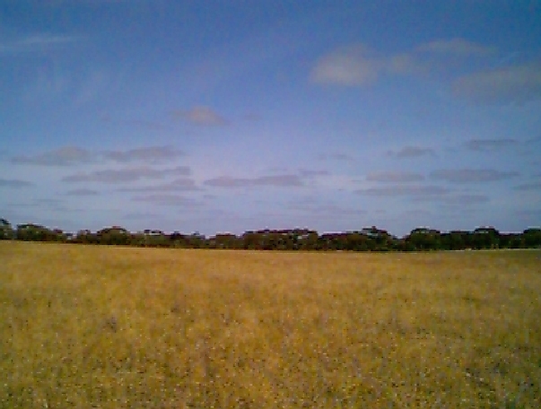 View west from the confluence