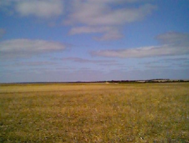 View south from the confluence