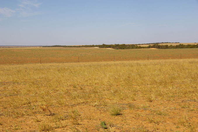 Looking South From Confluence