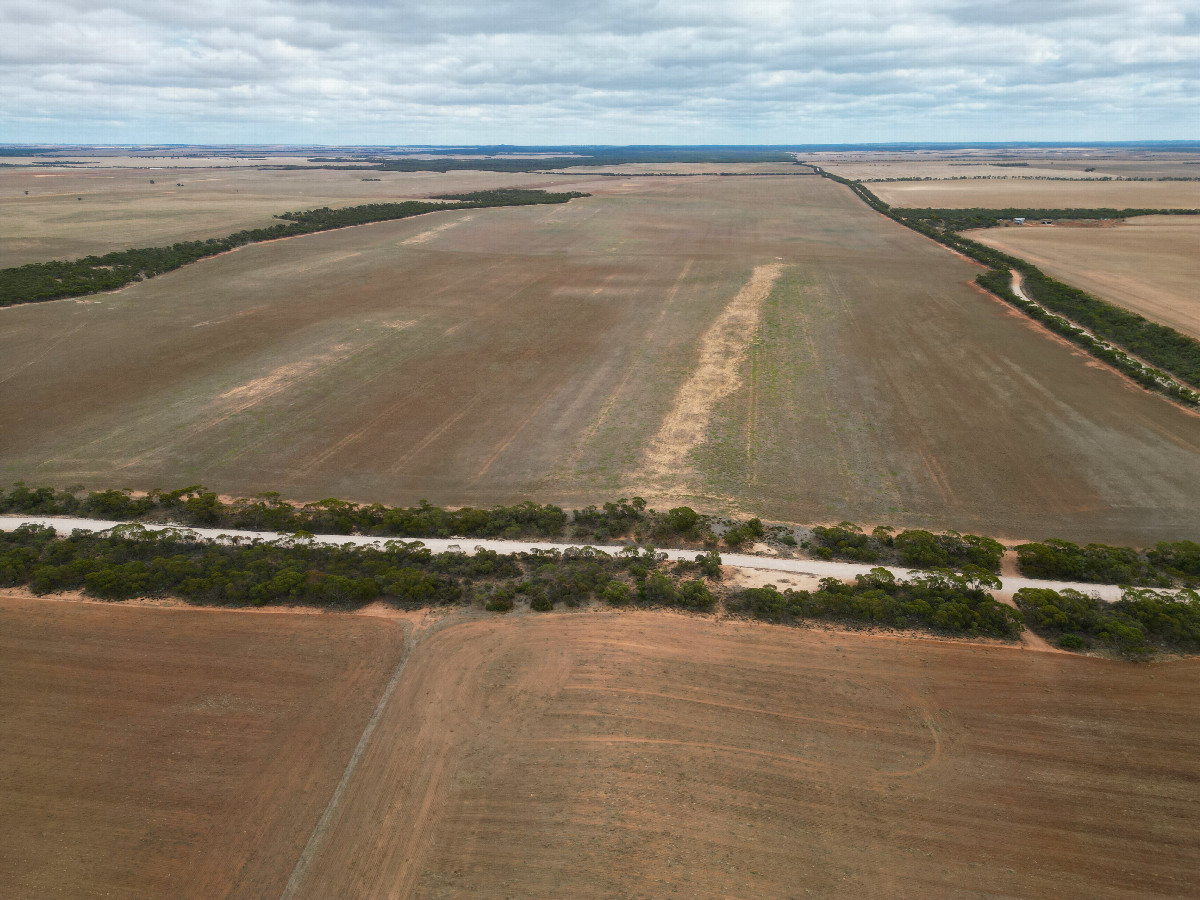 View West, from 120m above the point