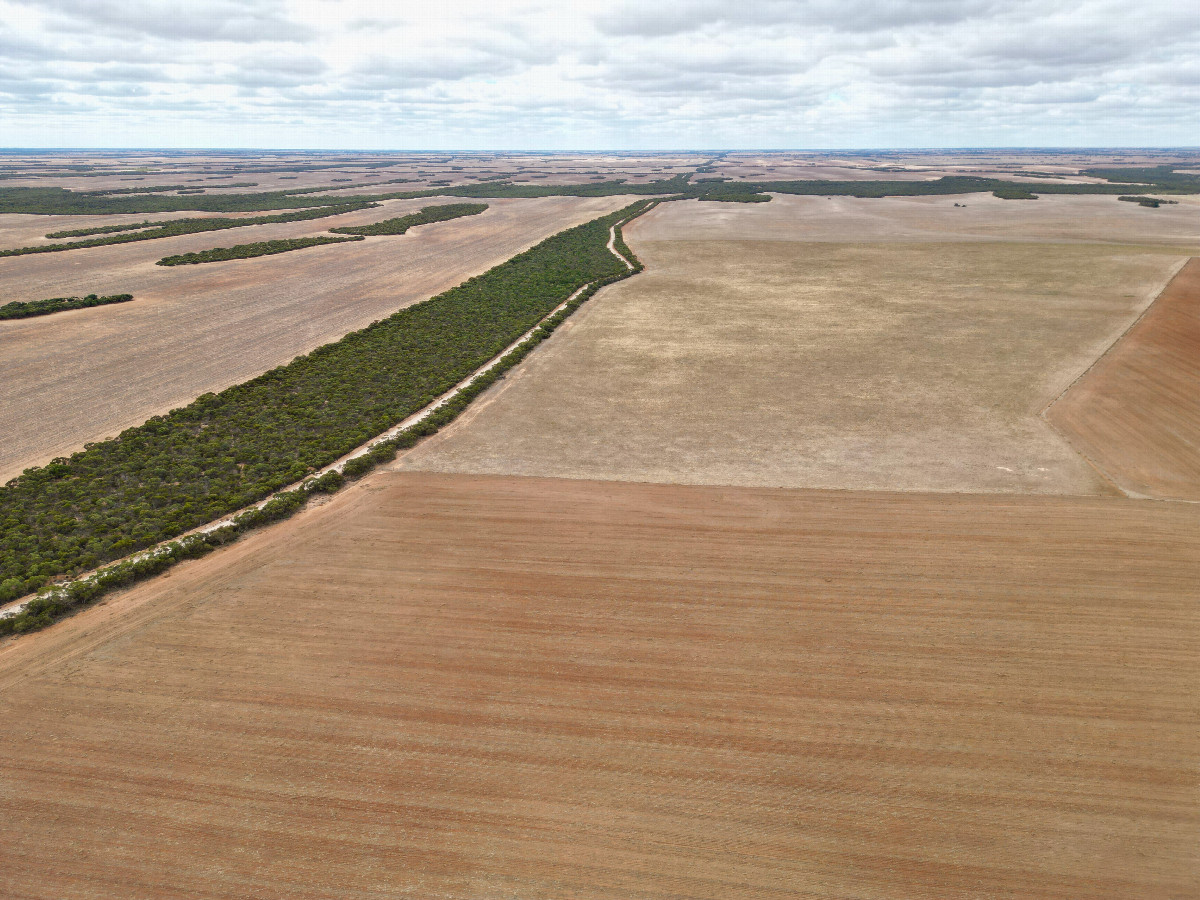 View East, from 120m above the point