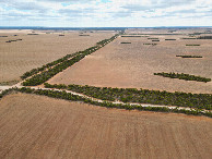 #8: View North, from 120m above the point