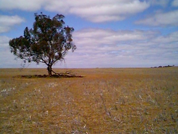 View south from the confluence