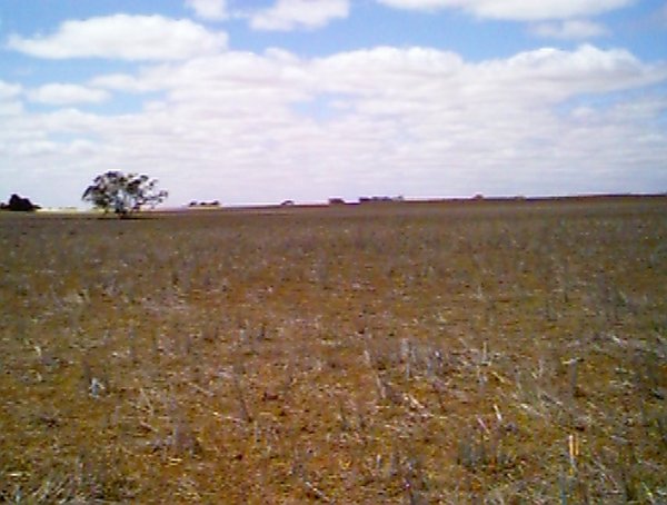 View east from the confluence