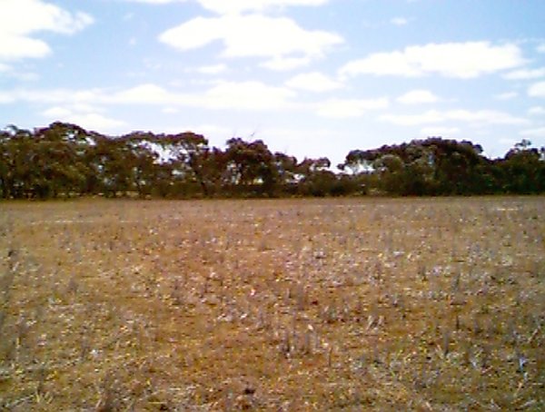 View north from the confluence