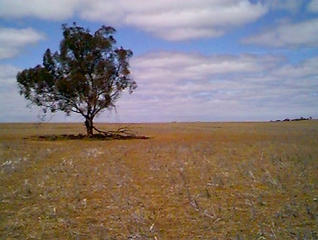 #1: View south from the confluence