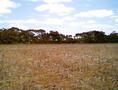 #4: View north from the confluence