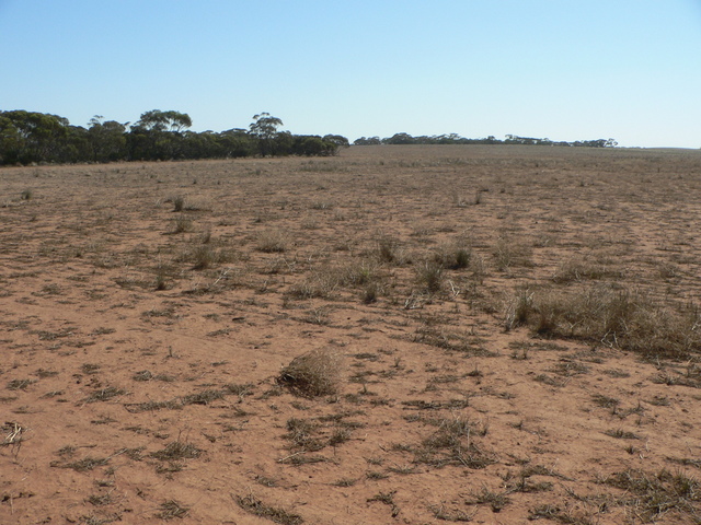 Looking east