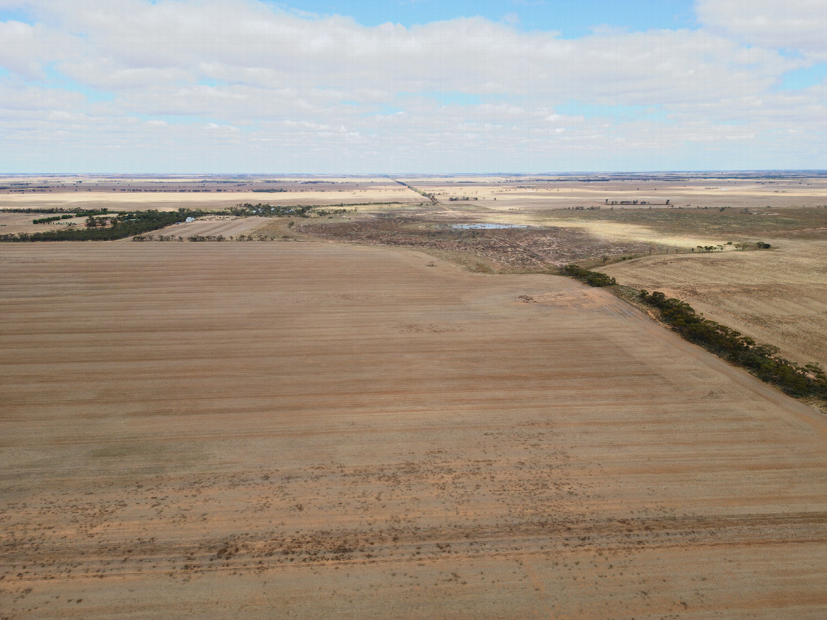 View South, from 120m above the point