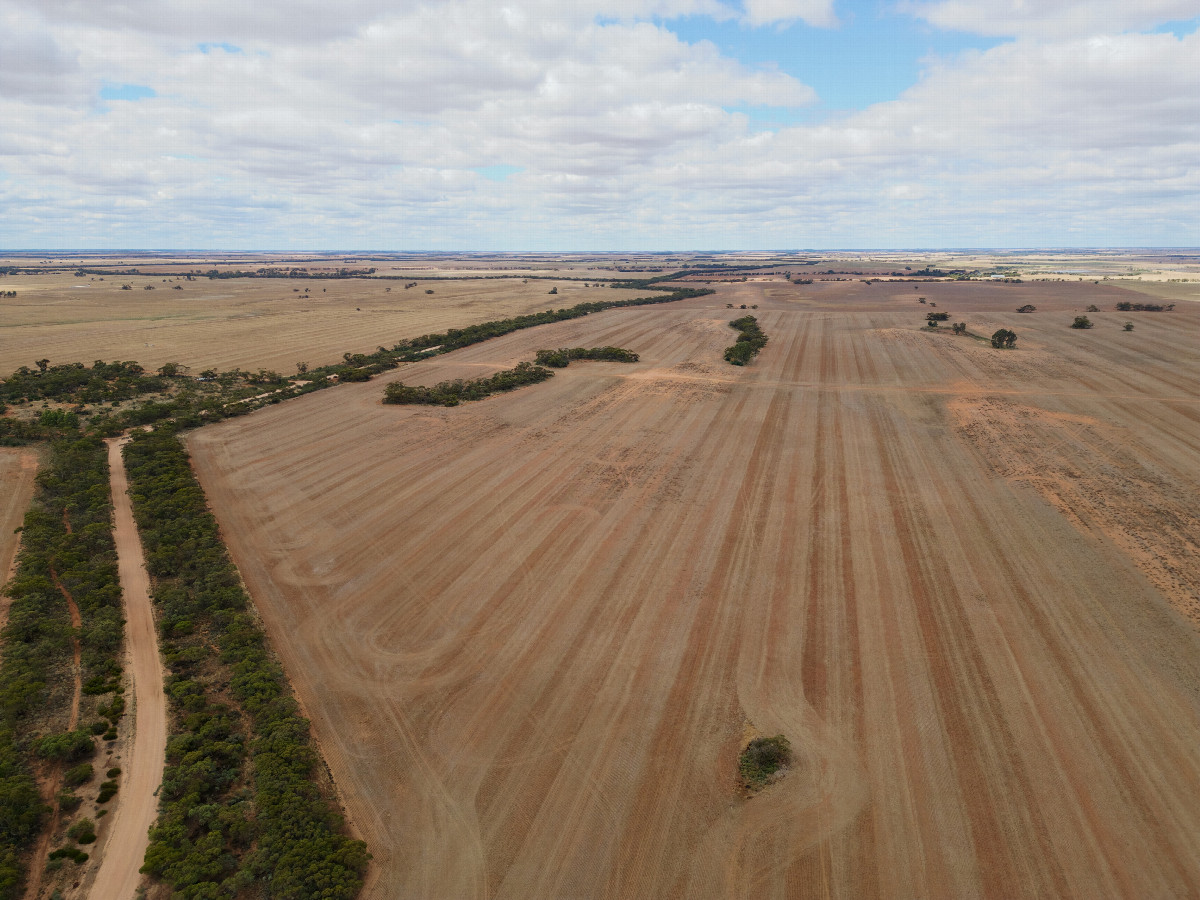 View East, from 120m above the point