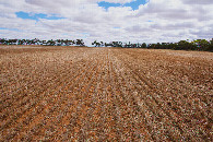 #4: View West